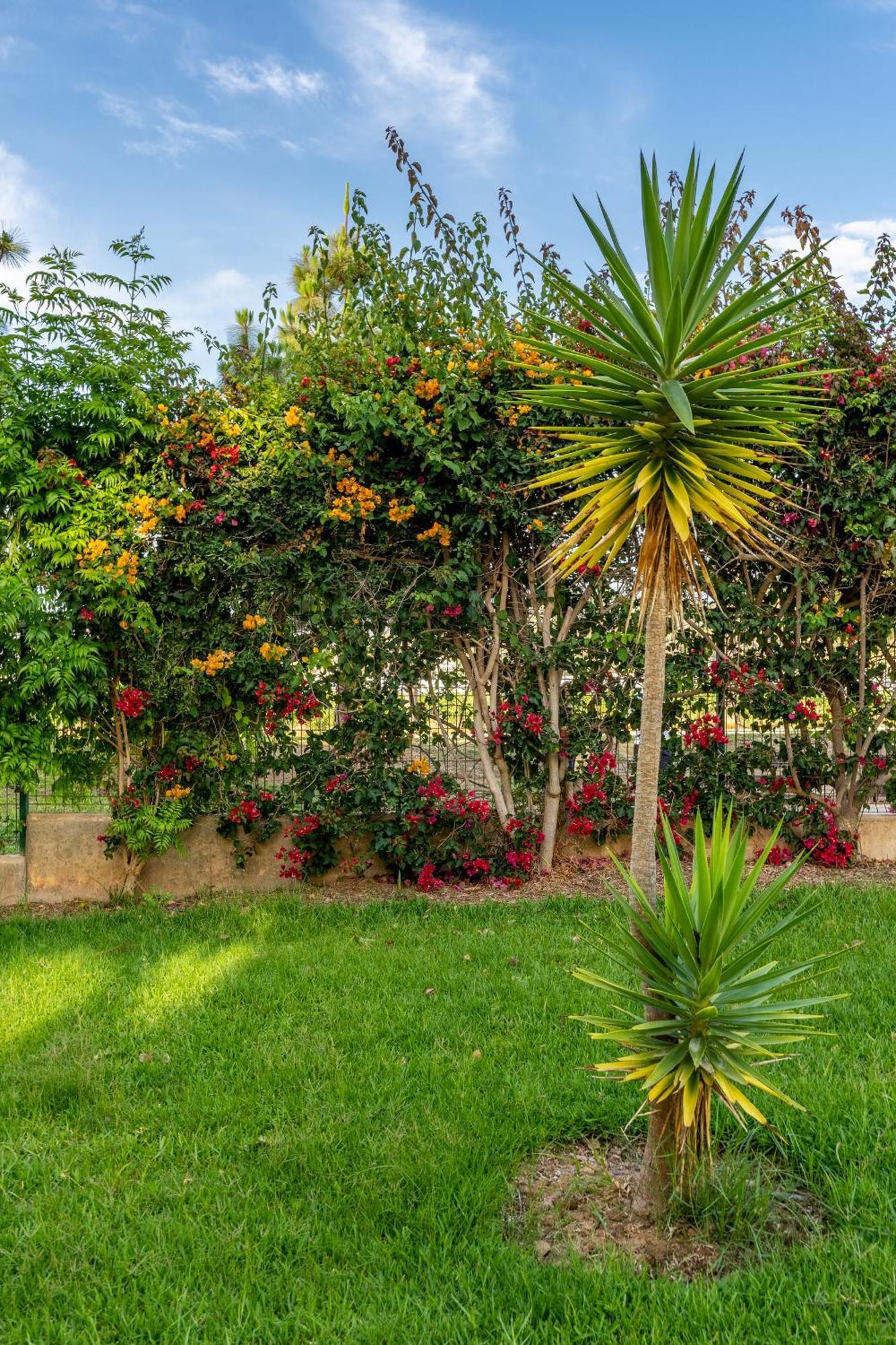 טורנואבה Bonito Apartamento En La Playa Con Piscina מראה חיצוני תמונה